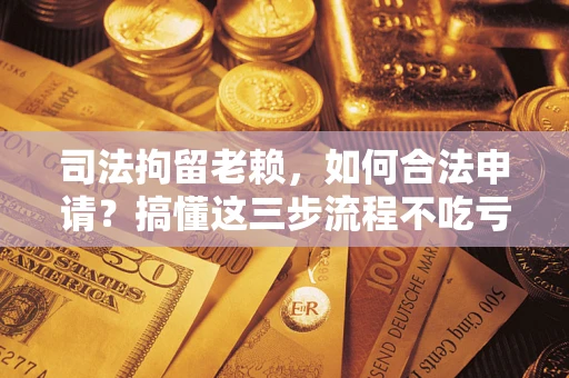 济南司法拘留老赖，如何合法申请？搞懂这三步流程不吃亏！