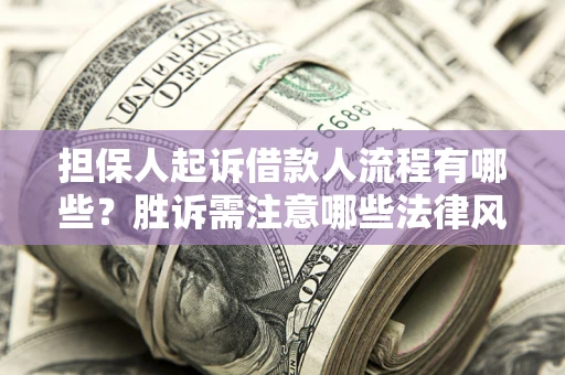 济南担保人起诉借款人流程有哪些？胜诉需注意哪些法律风险？
